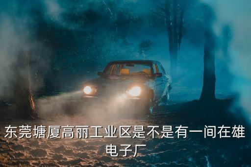 東莞雄新電子，剛來(lái)東莞不熟悉東莞什么地方電子廠多好進(jìn)廠
