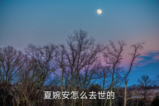 夏婉安怎么去世的