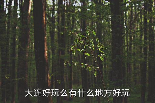 大連好玩的地方，大連好玩么有什么地方好玩