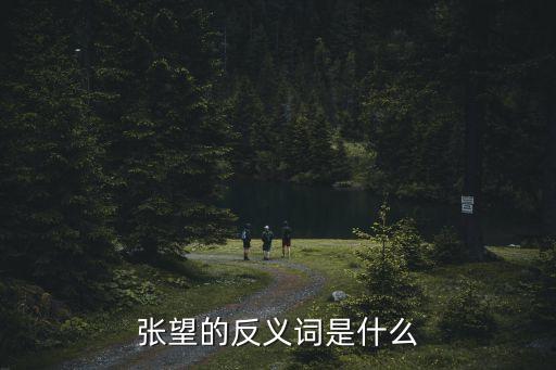 張望的反義詞，望張的反義詞