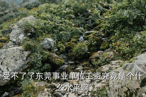 受不了了東莞事業單位工資究竟是個什么水平啊