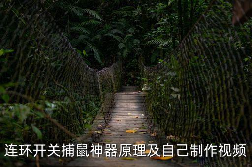 捕鼠神器，有什么捕老鼠神器嗎