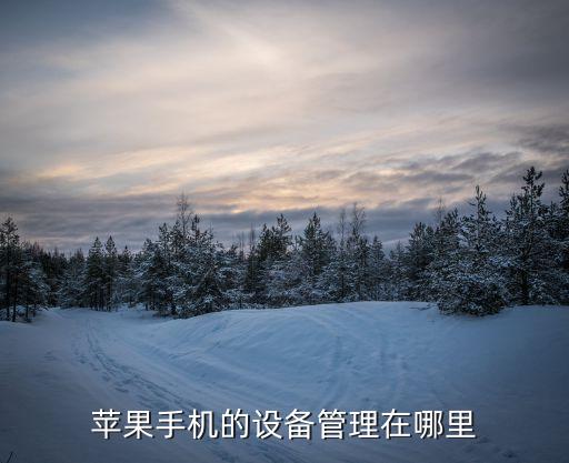 蘋果設(shè)備管理，蘋果手機(jī)設(shè)備管理在哪里