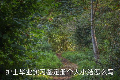 護士實習小結，實習生護士的畢業總結應該怎么寫