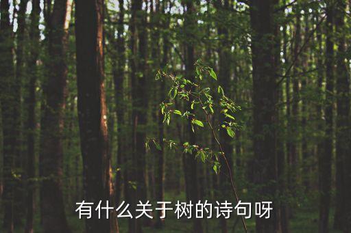 描寫樹的詩句，有什么關于樹的詩句呀