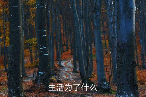生活是為了什么，生活為了什么