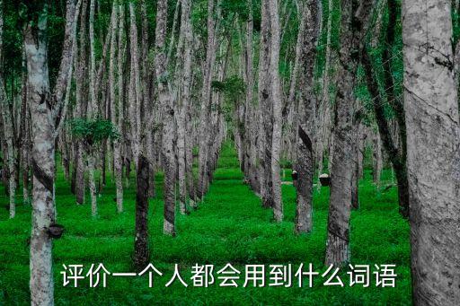 評價一個人都會用到什么詞語