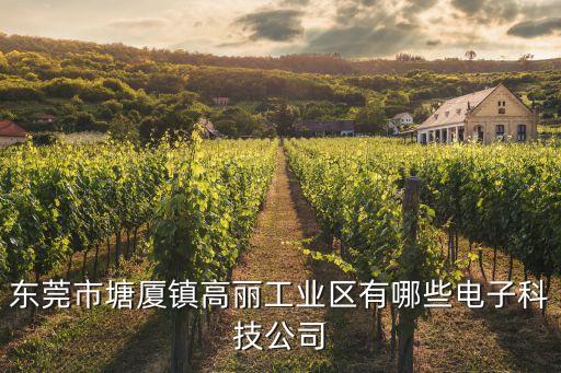 東莞力成電子科技有限公司，武漢力成偉業(yè)科技有限公司怎么樣