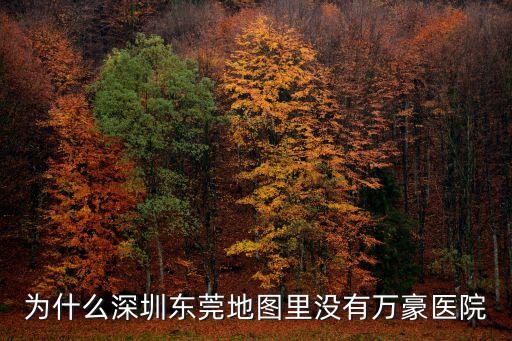 為什么深圳東莞地圖里沒有萬豪醫院