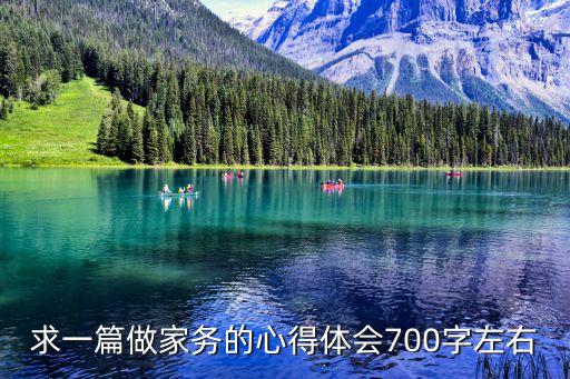 求一篇做家務的心得體會700字左右