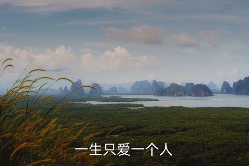 一生只愛(ài)一個(gè)人