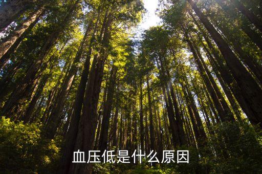 低壓低是怎么回事，低壓低是怎么回事