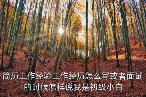 工作經歷簡述，工作的經驗介紹