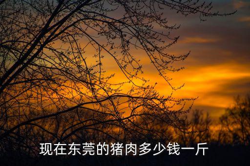 現在東莞的豬肉多少錢一斤