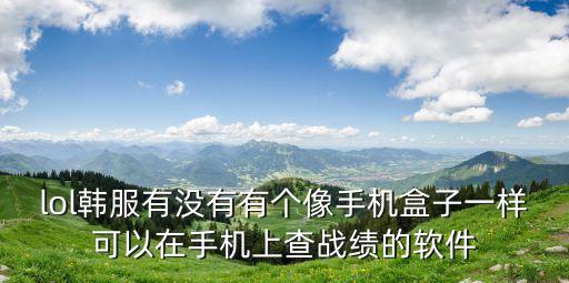 韓服戰績查詢，lol韓服有沒有有個像手機盒子一樣可以在手機上查戰績的軟件
