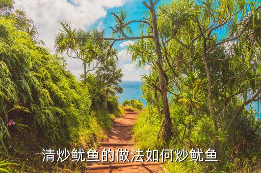 清炒魷魚的做法如何炒魷魚