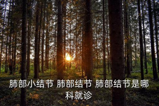 肺部小結(jié)節(jié) 肺部結(jié)節(jié) 肺部結(jié)節(jié)是哪科就診