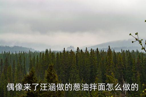 偶像來了汪涵做的蔥油拌面怎么做的