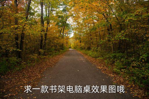 電腦桌效果圖，求一款書架電腦桌效果圖哦