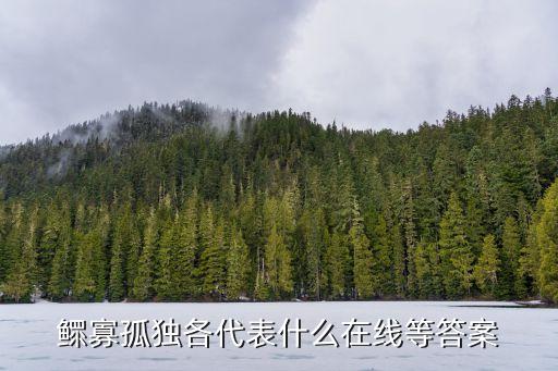 鰥寡孤獨(dú)的意思，鰥孤是什么意思