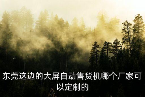 東莞這邊的大屏自動售貨機哪個廠家可以定制的
