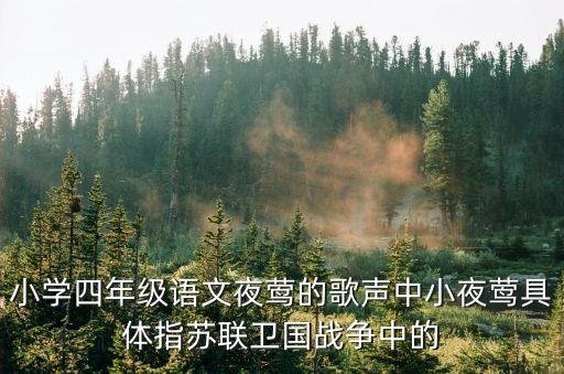 小夜鶯，小學四年級語文夜鶯的歌聲中小夜鶯具體指蘇聯衛國戰爭中的