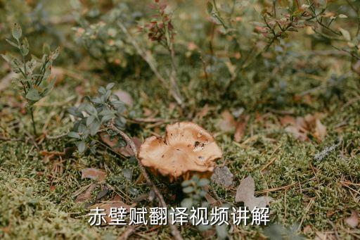 赤壁賦教案，有赤壁賦的精彩教案嗎