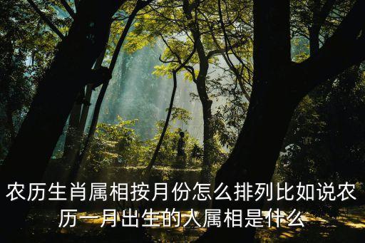 月份對應(yīng)的生肖，一到十二月份是怎么排列十二生肖