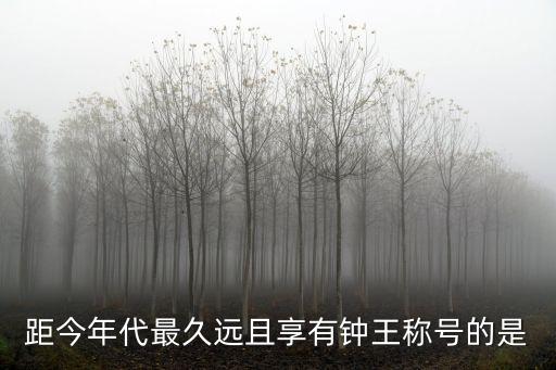 鐘王，距今年代最久遠(yuǎn)且享有鐘王稱號(hào)的是