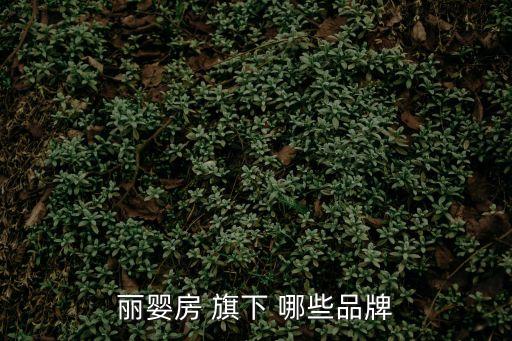 麗嬰房加盟，麗嬰房加盟費多少錢我想在四川廣漢開