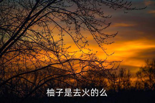 柚子是去火的么