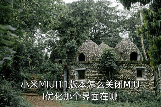 小米MIUI11版本怎么關(guān)閉MIUI優(yōu)化那個(gè)界面在哪