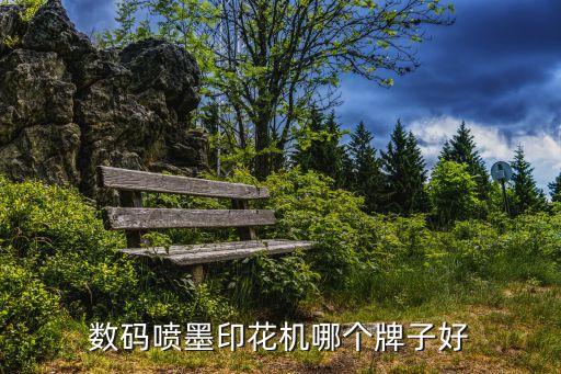 數碼噴墨印花機哪個牌子好