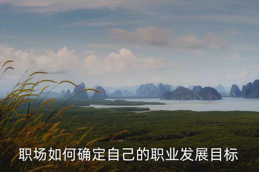 職業(yè)目標(biāo)的確定，怎樣才能確定一個(gè)適合自己的職業(yè)目標(biāo)啊