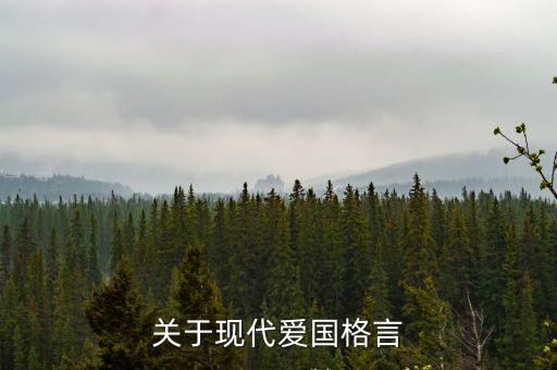 現代愛國名言，關于現代愛國格言