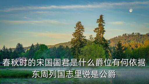 春秋時的宋國國君是什么爵位有何依據東周列國志里說是公爵