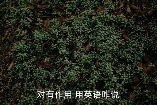 對有作用 用英語咋說