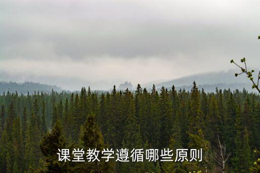 八大教學原則，教學原則的原則