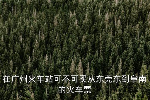 東莞去阜南的火車(chē)票，在廣州火車(chē)站可不可買(mǎi)從東莞東到阜南的火車(chē)票