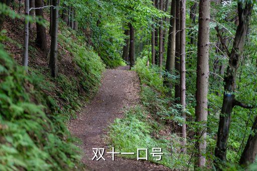 雙十一口號，雙十一口號