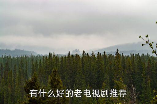 有什么好的老電視劇推薦