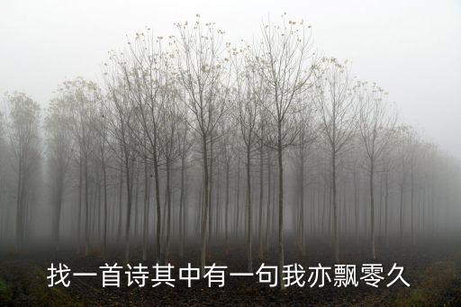 我亦飄零久，我亦飄零久是什么意思