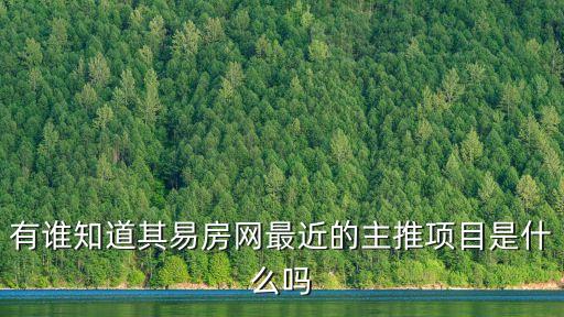 有誰知道其易房網最近的主推項目是什么嗎