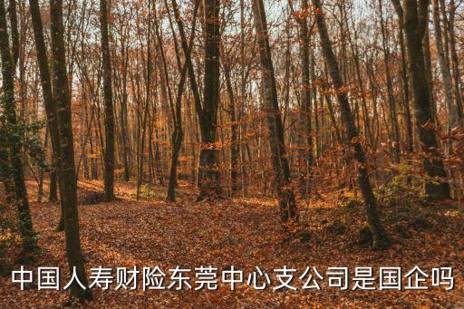 中國(guó)人壽財(cái)險(xiǎn)東莞中心支公司是國(guó)企嗎