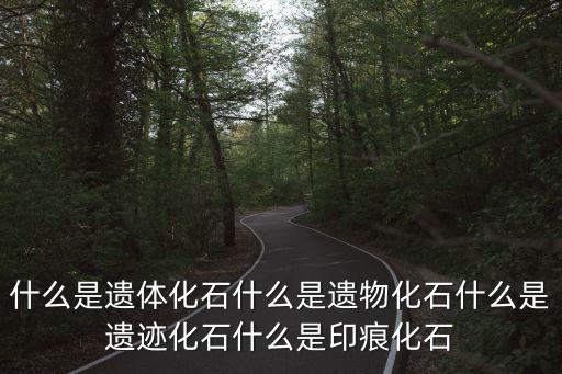什么是遺體化石什么是遺物化石什么是遺跡化石什么是印痕化石
