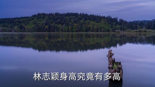 林志穎身高究竟有多高