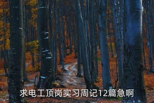 電工實(shí)習(xí)周記，求電工頂崗實(shí)習(xí)周記12篇急啊