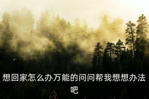想回家，想回家怎么辦