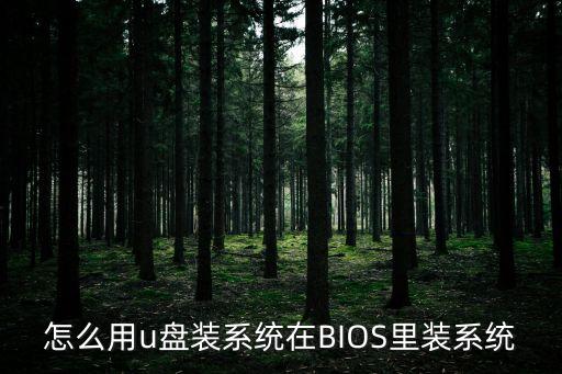 怎么用u盤裝系統(tǒng)在BIOS里裝系統(tǒng)