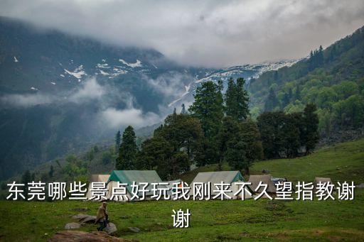 東莞素美閣，東莞有什么好玩的地方呀